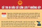 [Infographic] Cử tri đi bầu cử cần lưu ý những gì?