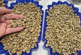 Giá cà phê hôm nay 21-4: Robusta bật tăng 3 con số