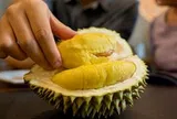 Lời khuyên cho các gia đình hay ăn sầu riêng