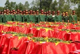 Kiện toàn nhân sự Ban Chỉ đạo 515 TPHCM