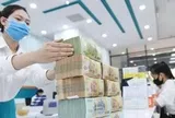 Nhiều doanh nghiệp phụ thuộc vào tài sản thế chấp