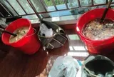 Đột kích 1 khách sạn, công an bắt giữ 2 người, tịch thu hơn 100 kg mật ong giả