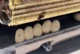 Mở điều hòa để kiểm tra, người đàn ông sững lại trước cảnh tượng bên trong: Ai xem cũng nổi da gà!