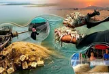 Theo chân người dân "xóm Việt kiều" mưu sinh bên hồ Dầu Tiếng