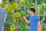 Mạnh Trường khoe mít trĩu quả trong biệt thự nhà vườn, con trai Jennifer Phạm cao vượt mẹ