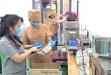 Doanh nghiệp miền Trung xoay xở trước “cơn sóng xanh”