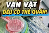 Cứ nghĩ màng bọc thực phẩm chỉ để bọc đồ ăn, ai ngờ lại giải quyết được hàng loạt việc nhà phiền phức