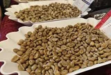 Giá cà phê hôm nay, 27-6: Robusta giao ngay vẫn "nóng"