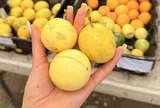 Chợ Việt có 4 thực phẩm màu vàng được ví như “thần dược” mùa thu