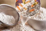 6 thứ trong bếp có thể chứa vi khuẩn Salmonella: Có loại nằm ngay trên kệ gia vị