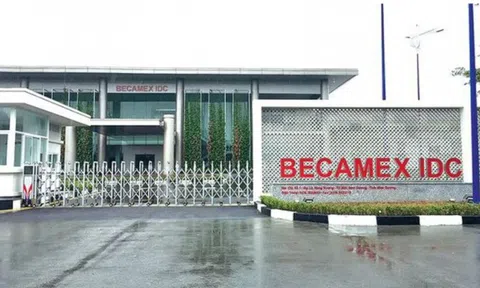 Sau Tổng giám đốc, Becamex IDC (BCM) tiếp tục miễn nhiệm Phó tổng giám đốc thường trực
