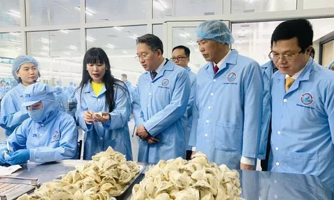 Doanh thu giảm tốc, Sanvinest vẫn giữ đà lợi nhuận