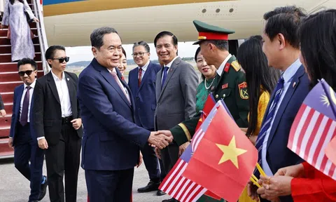 Thúc đẩy vai trò ngoại giao nghị viện