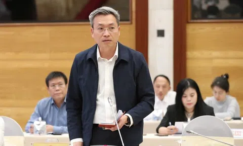 Vụ án Hoàng Hường: Đã kê biên 2 tài sản hơn 320 tỷ đồng để khắc phục hậu quả