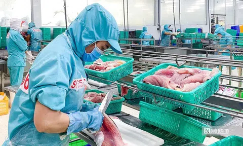 Doanh nghiệp thủy sản bứt phá sau giai đoạn trầm lắng