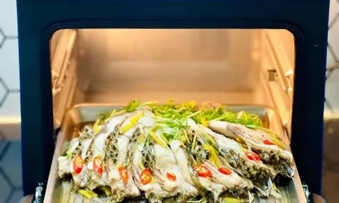 Việt Nam có loại cá bổ dưỡng ngang cá hồi, nhiều quốc gia tìm mua