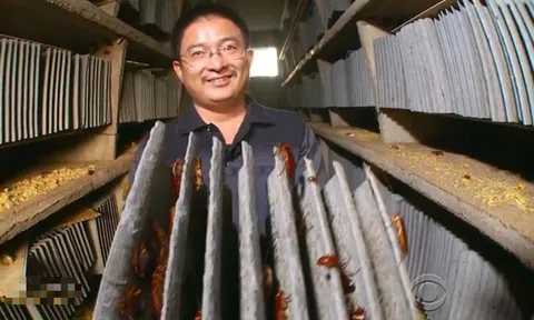 Nghề "hot" kiếm cả tỷ đồng mỗi năm nhưng ít ai dám làm