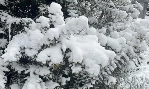 Nơi vừa có tuyết rơi hiếm có sau gần 20 năm!