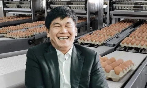 Nông nghiệp Hòa Phát hoàn tất IPO: Thu về 1.200 tỷ, Vietcap mua gần 12 triệu cổ phiếu, chiếm 39% lượng chào bán