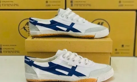 Lộ diện nữ cổ đông bí ẩn bỏ ra 1.300 tỷ đồng mua 68,66% vốn điều lệ của Giầy Thượng Đình, tạm lỗ hơn 800 tỷ