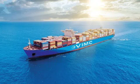 Tổng Công ty Hàng hải Việt Nam quyết giảm sở hữu Nhà nước từ 99,47% về 65%:  36 tuần lên HoSE, cổ phiếu lập tức tăng kịch trần