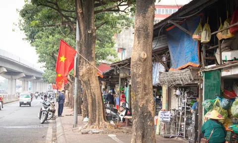 Xóa 98 'điểm nóng' chợ cóc, xử phạt qua camera