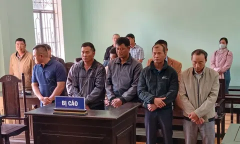 Ba nhân viên bảo vệ rừng lĩnh án tù vì nhận hối lộ của lâm tặc