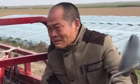 Anh nông dân gửi tiết kiệm 1,1 tỷ đồng nhưng nhân viên khẳng định tiền đã rút sạch, tòa tuyên bố: “Ngân hàng phải trả 1,2 tỷ đồng”