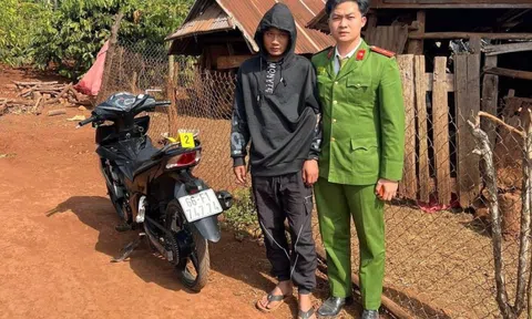 Công an Gia Lai bắt đối tượng hành hung, cướp tài sản của một thiếu nữ
