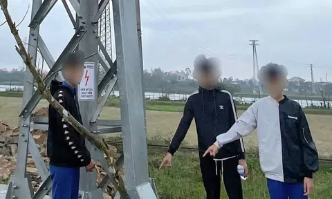 Đã rõ thủ phạm cắt trộm hàng trăm mét dây cáp điện ngầm