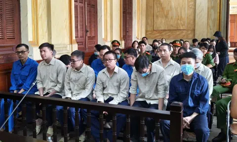 Bột đạm, bột huyết động vật nhiễm dịch tả lợn Châu Phi "tuồn" vào thị trường: Cán bộ thú y hầu toà