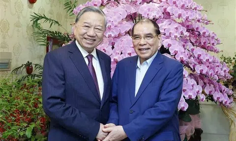 Tổng Bí thư Tô Lâm thăm, chúc Tết nguyên Tổng Bí thư Nông Đức Mạnh