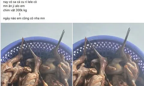 Rao bán động vật rừng trên mạng xã hội, một phụ nữ bị phạt 8,5 triệu đồng