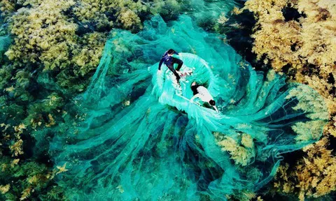 Việt Nam có "mỏ vàng dưới nước", mang về gần 900 triệu USD trong tháng 1: Trung Quốc, Nhật Bản ồ ạt mua