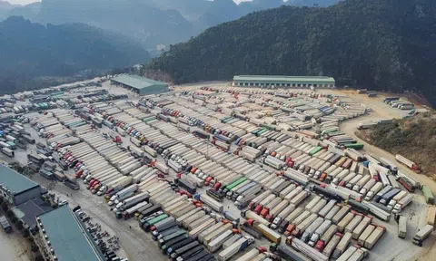 Tạm dừng áp dụng Nghị định 46, Cục Hải quan hoả tốc yêu cầu thông quan nhanh hàng hoá