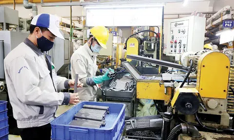 Công bố số liệu tổng điều tra kinh tế 2026 sớm 7 tháng