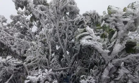 Dự báo thời tiết 12/2: Miền Bắc đón không khí lạnh tăng cường, trời chuyển mưa rét