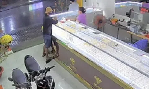 Kẻ cướp giật tiệm vàng ở TPHCM leo tường xuống vườn dừa
