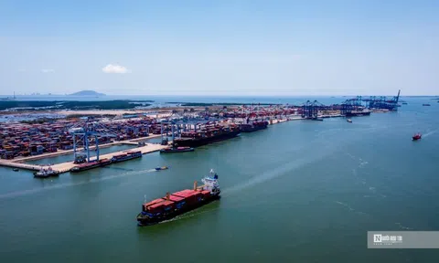 Mở đường cho “sếu đầu đàn” sải cánh từ Nghị quyết 79 - Bài 2: Loạt cơ chế mở