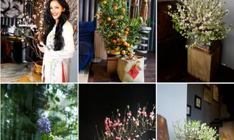 Biệt thự tinh tế của diva Hồng Nhung, căn nhà 'độc, lạ' ngày Tết của H'hen Niê