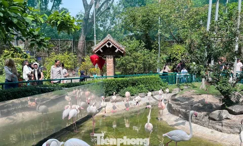 Thảo Cầm Viên Sài Gòn chật kín người du xuân