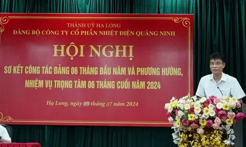 Vai trò của ông Lê Việt Cường tại Nhiệt điện Quảng Ninh trước khi bị khởi tố