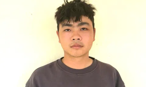 Cảnh sát hình sự Đà Nẵng bắt đối tượng trộm 15 chỉ vàng