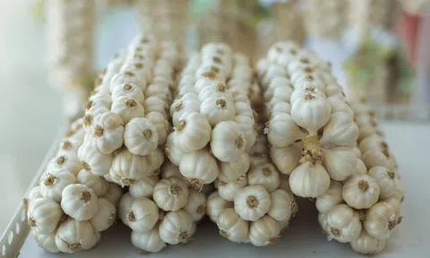 Gia vị dân dã của Việt Nam trồng tại nơi đặc biệt trở thành "vàng trắng": Giá đến 1,5 triệu đồng/kg