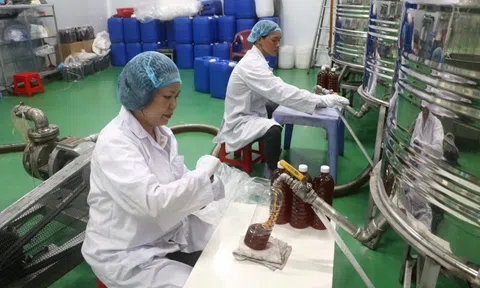 Người phụ nữ ở Tp.HCM kiếm 60 tỷ/năm nhờ con vật tí hon, nuôi bằng loại nguyên liệu rẻ bất ngờ