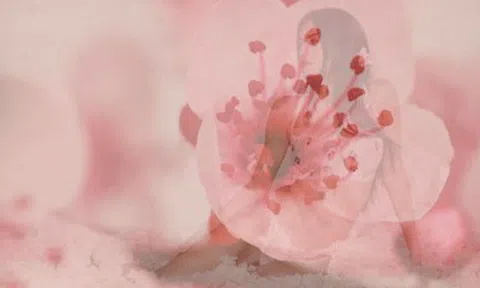 Siêu mẫu giàu nhất nước Đức diện nội y cực nóng bỏng bên con gái cưng