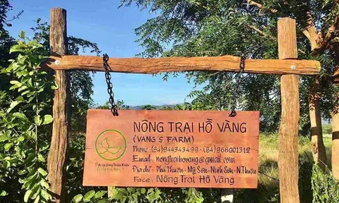 “Nông trại Hồ Vàng” của ông Thích Nhuận Đạt?