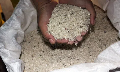 5 kiểu bảo quản gạo của người Việt làm tăng tốc độ hư hỏng, cơm không ngon mà còn dễ khiến cả nhà mắc bệnh