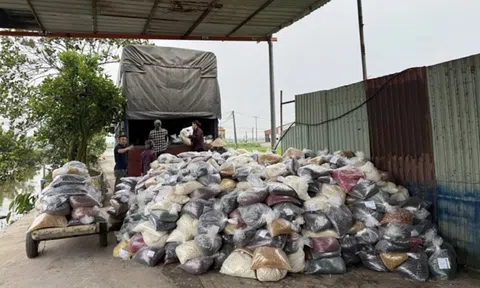 Cựu Phó cục trưởng Hải quan nhận hối lộ 800 triệu đồng giúp doanh nghiệp làm hàng giả thông quan