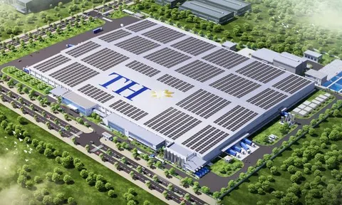 Tập đoàn TH khởi công nhà máy 6.000 tỷ đồng tại địa phương có quy mô kinh tế lớn nhất cả nước